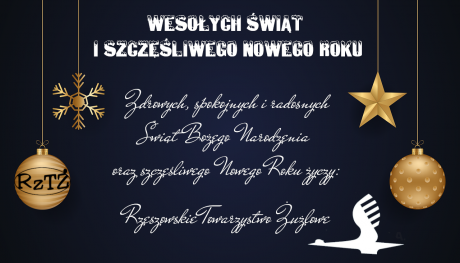Wesołych Świąt i Szczęśliwego Nowego Roku!