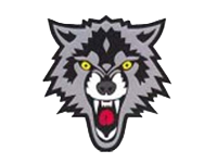 7R STOLARO STAL RZESZÓW - WOLFE WITTSTOCK
